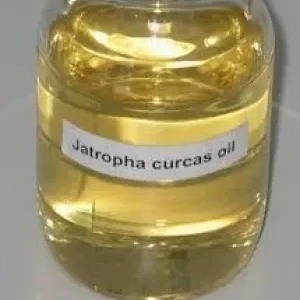 Jatropha Oil