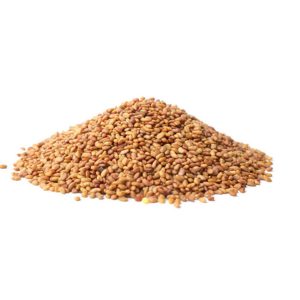 Australian Alfalfa Seeds