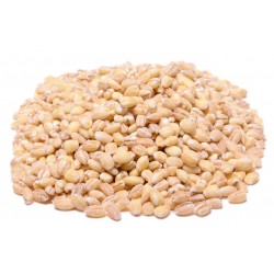 Barley Pearled
