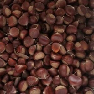 Chinese Chestnuts