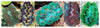 Clam – Crocea Coloured