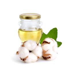 Cotton Seed Oil