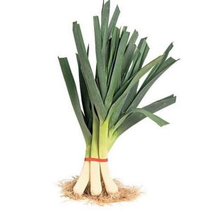 Fresh Leeks Bunch, Each
