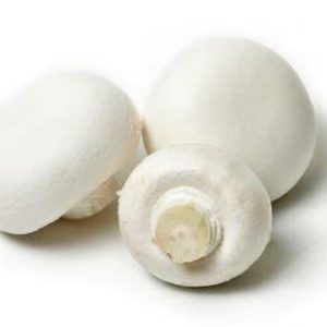 Fresh Whole White Mushrooms, Bulk
