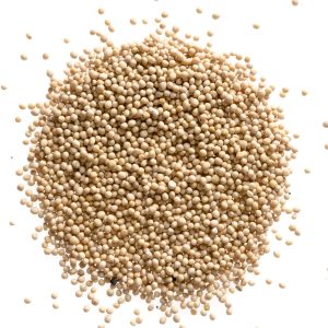 Mustard Seed Yellow Whole