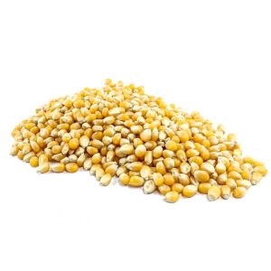 Organic Popping Corn