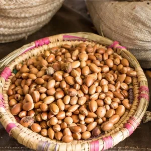 Argan nut