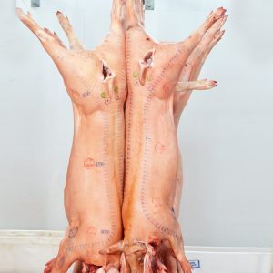 Whole pork & Half pork