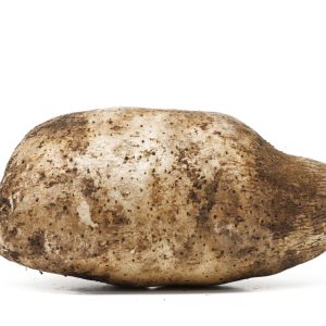 Yam Root Whole Fresh, Each (Name Florido)